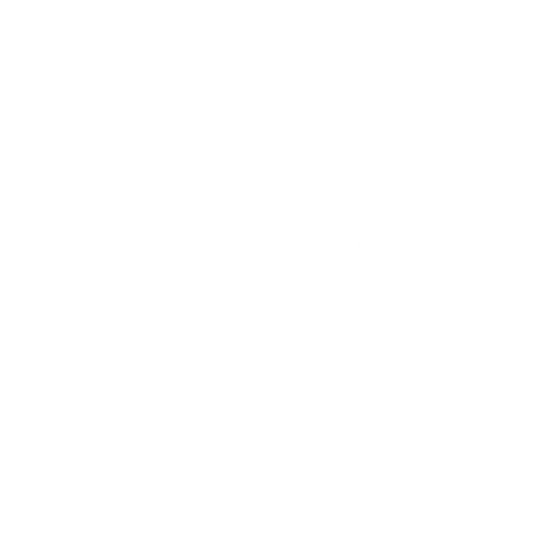 Grupo Vides
